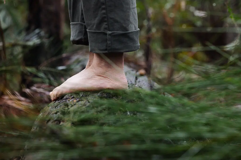 Mindful in Nature Mindful in Nature
