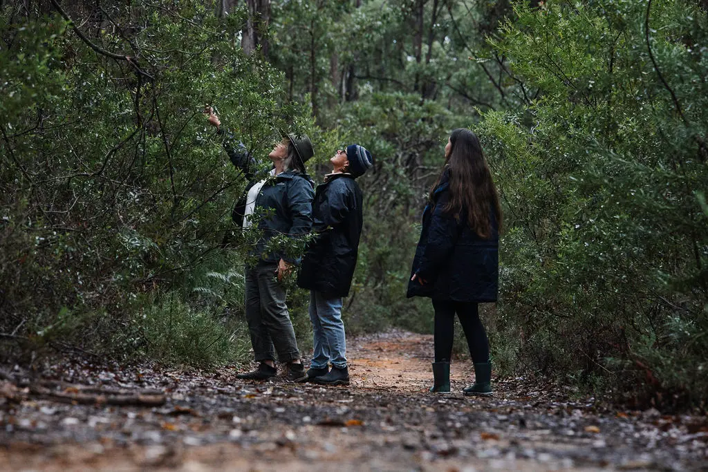 Mindful in Nature Mindful in Nature