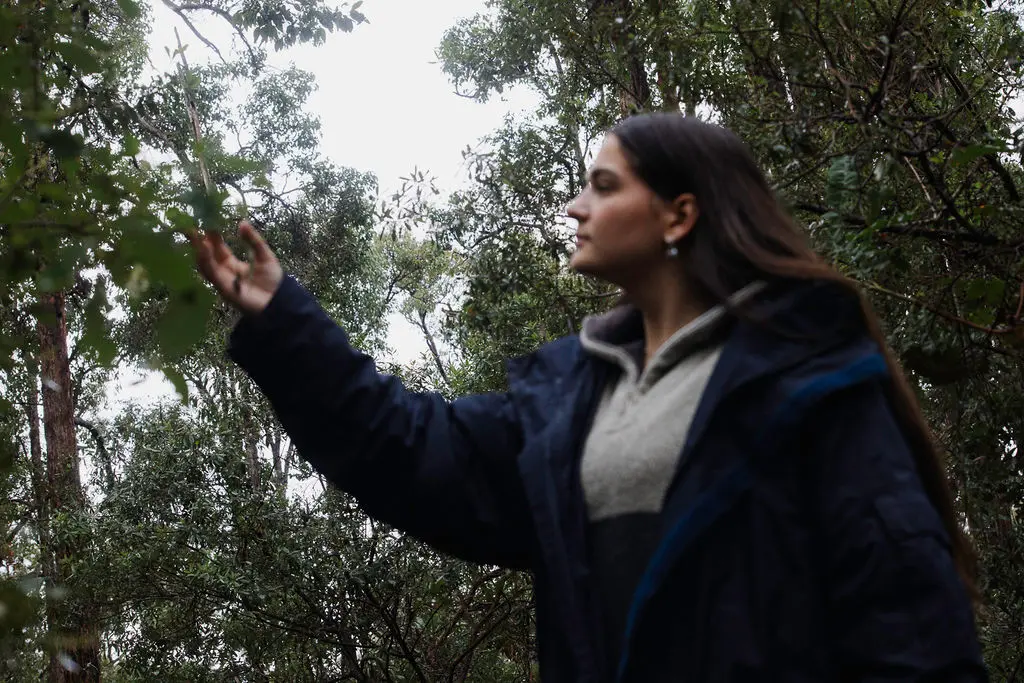 Mindful in Nature Mindful in Nature