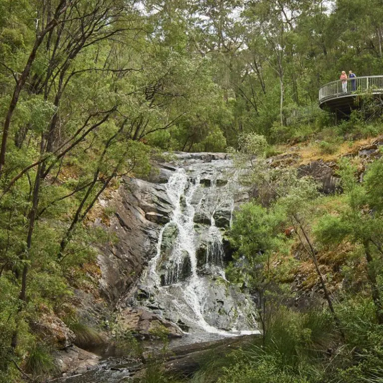 Wellness in Pemberton