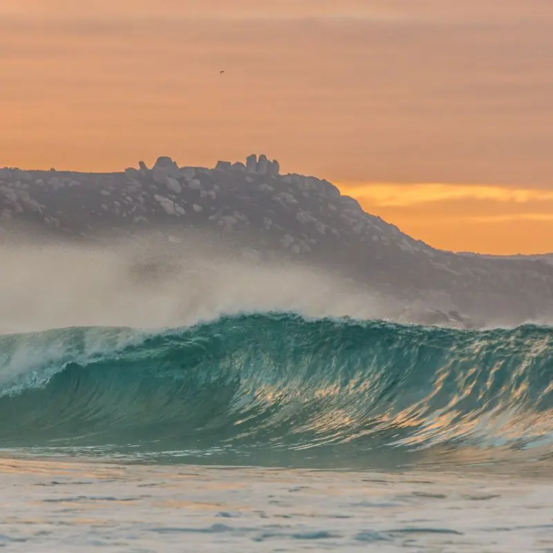 Wellness Retreat Albany