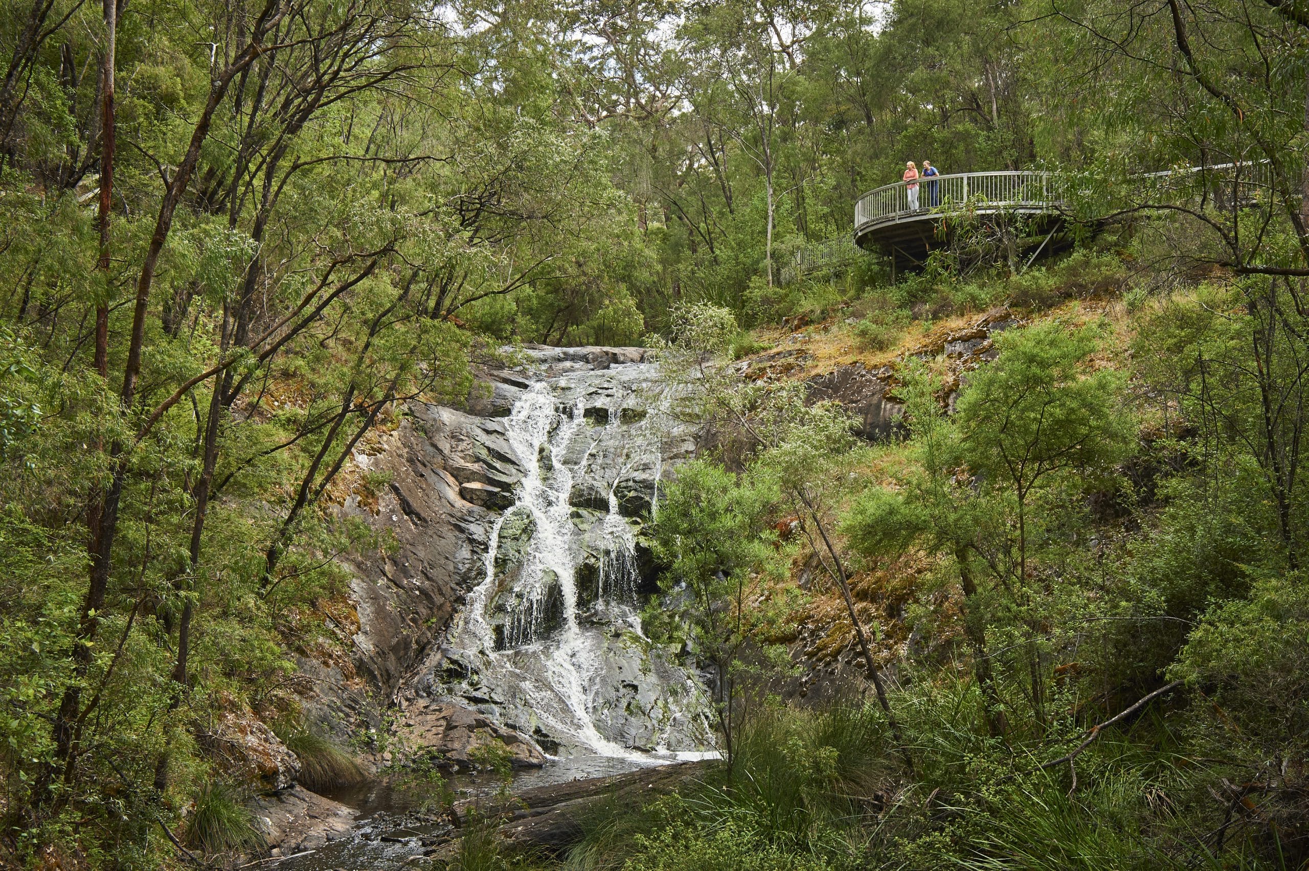 Southern Forests and Valleys Wellness