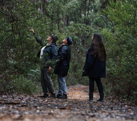 Mindful in Nature Mindful in Nature